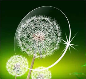 法国依视路 1.56 碧碧及亚树脂镜片